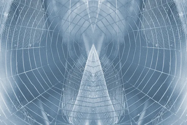 Павутиною — стокове фото