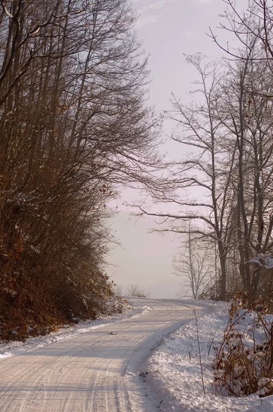 겨울 도로 — 스톡 사진
