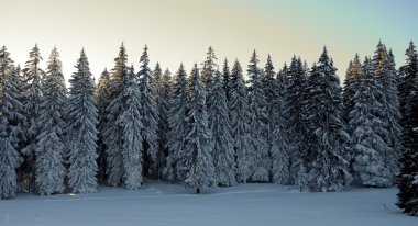 Winter scene clipart