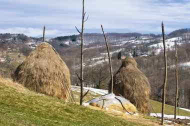 haystacks