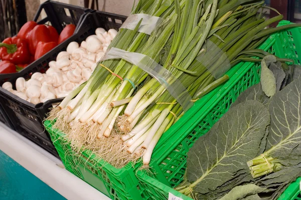 Stock image Vegetables