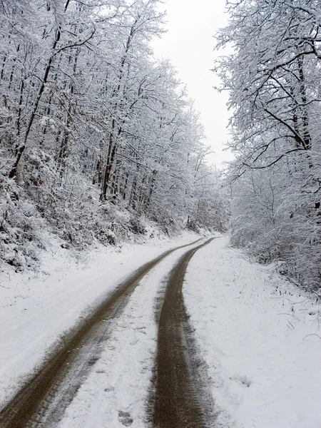 Vinterväg — Stockfoto