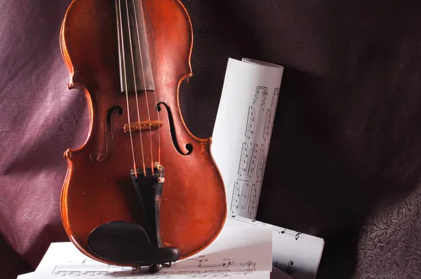바이올린과 참고 — 스톡 사진