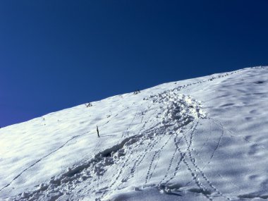 Kış yolu