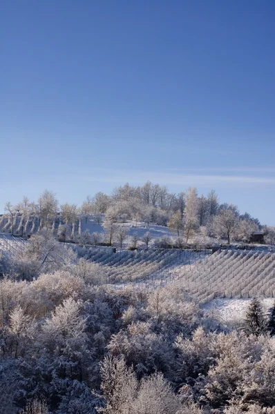 Vinter — Stockfoto