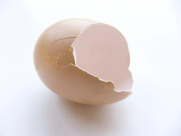 stock image Skinegg 001