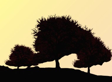 Silhouette of oak tree in autumn clipart