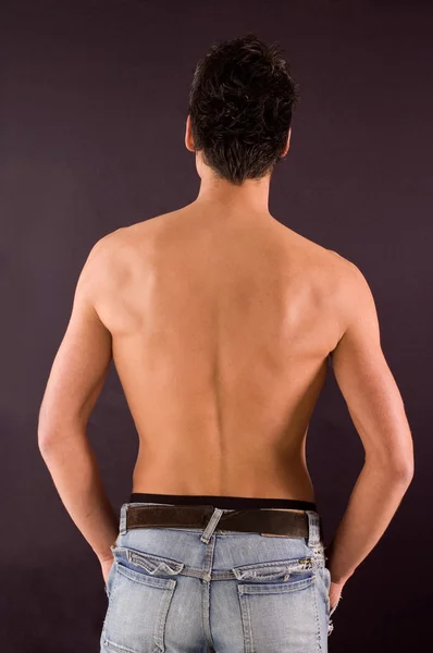 Rücken-Oberkörper — Stockfoto
