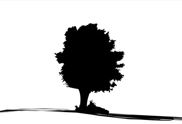 Ağaç silueti — Stok fotoğraf