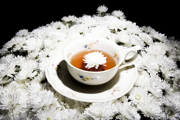 Tea — Stock Photo, Image