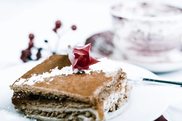 チョコレートラズベリー ケーキと紅茶 — ストック写真