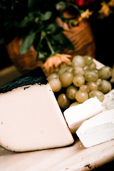 チーズの選択 — ストック写真
