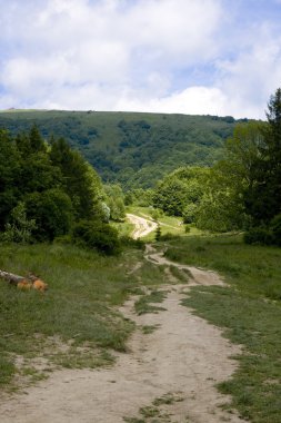 Bieszczady Mountains clipart