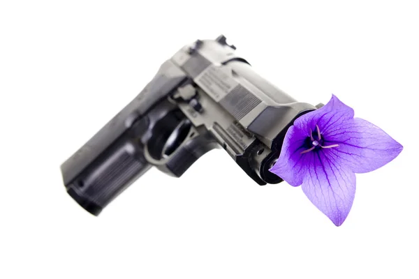Gun and flower — Stock Photo, Image