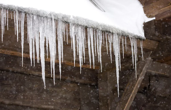 stock image Icicle