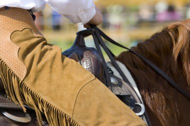 Western riding equipment detail clipart