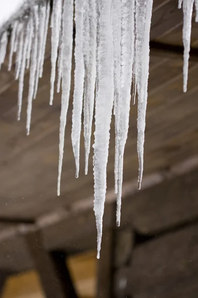 stock image Icicle