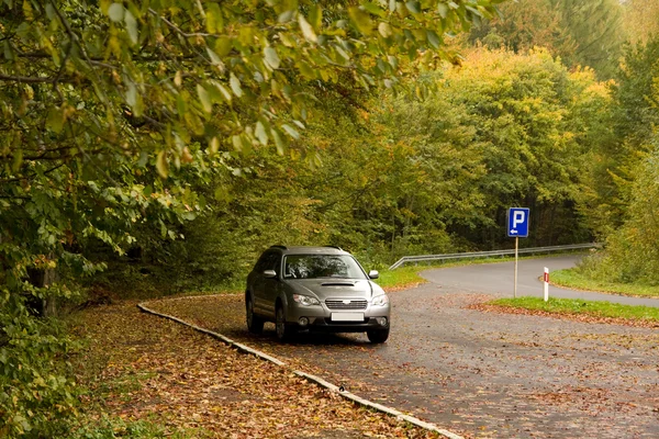 Stock image In the forest