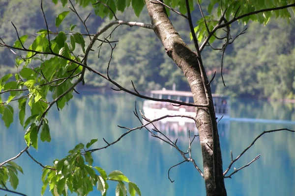 stock image Plitvice lake national park