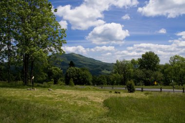 Bieszczady Dağlar