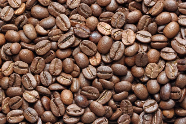 stock image Coffee beans