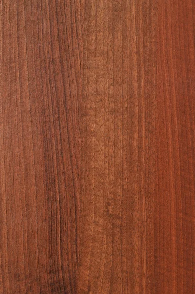 stock image Wooden texture