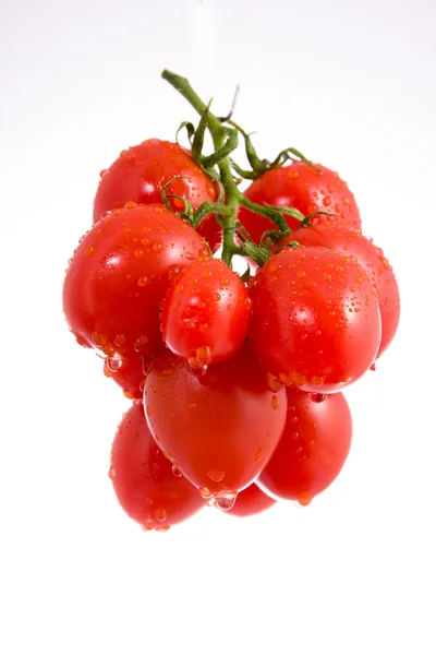 Czerwone małe pomidory — Zdjęcie stockowe