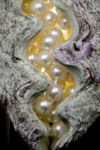 Strand pärlband lägger i shell — Stockfoto