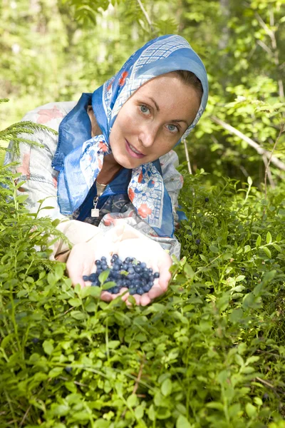 Junge Frau pflückt Heidelbeere im Holz — Stockfoto
