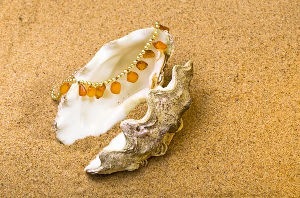 Κέλυφος με ένα μαργαριτάρι χάντρες και κεχριμπάρι — Φωτογραφία Αρχείου