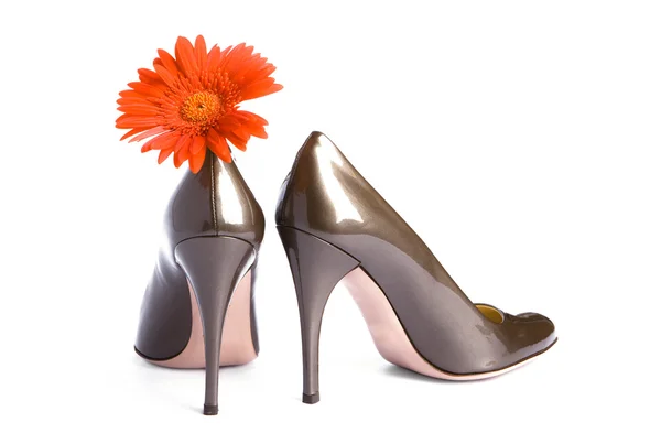 Skor och blomma — Stockfoto