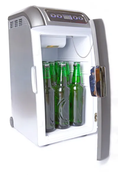 Reizende koelkast — Stockfoto
