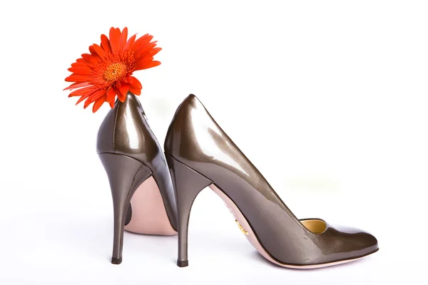 Weiblich neu lackierte Schuhe — Stockfoto