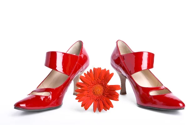 Shoes on high heel — Stock Photo, Image