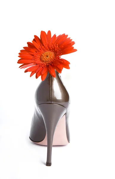 Обувь и яркий цветок — стоковое фото