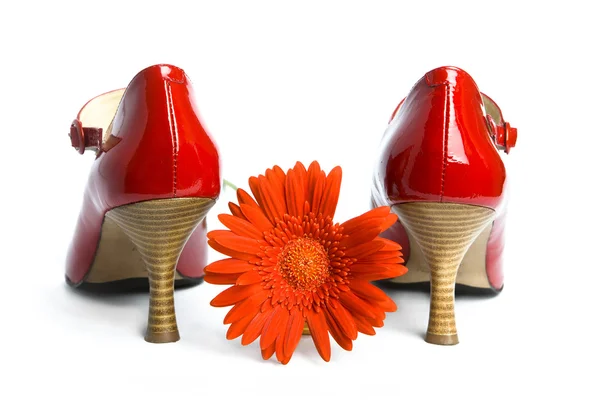 靴と花 — ストック写真