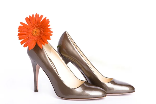 Sapatos femininos bege-dourados — Fotografia de Stock