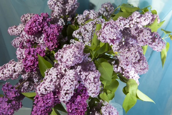 Lilac bouquet — Stock Photo, Image