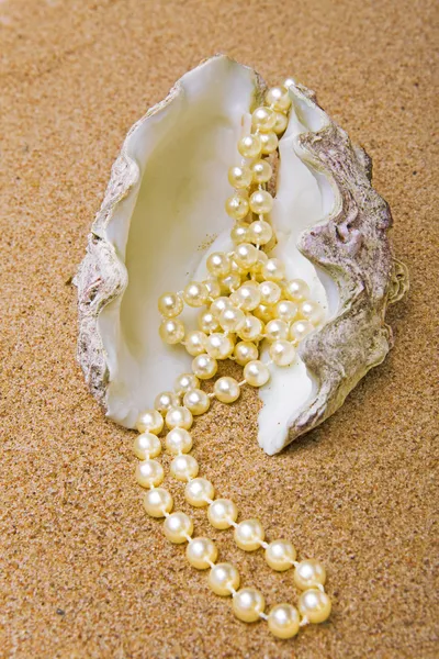 Strand of pearls lays in shell — Stock Photo, Image