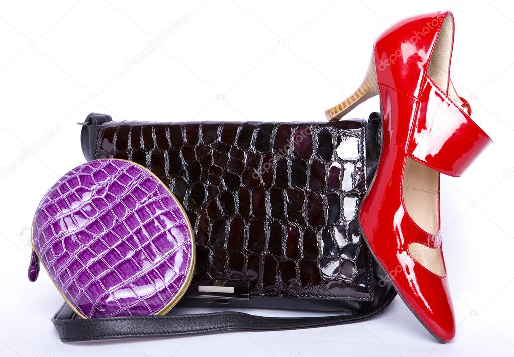 Handbag and a purse and a shoes