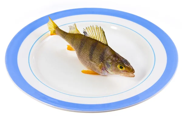 Egy fennsíkon, Fish — Stock Fotó