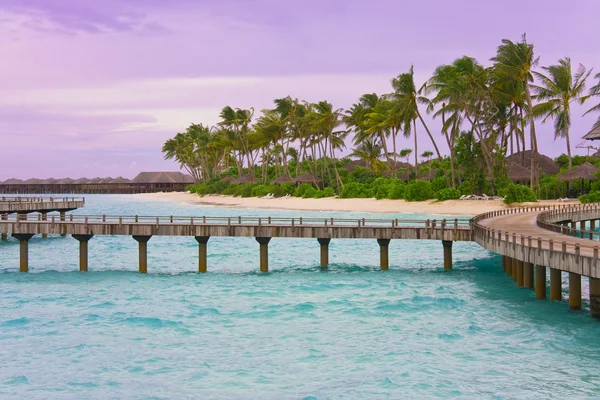 몰디브에 열 대 섬 호텔 — 스톡 사진