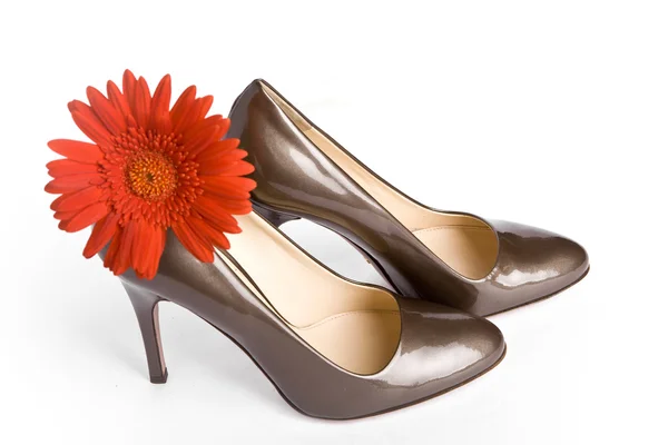 Beige-goldene weibliche neu lackierte Schuhe — Stockfoto