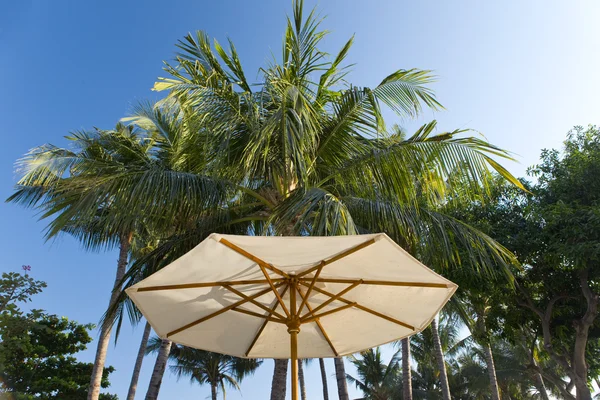 stock image Beach umbrella On background of palm