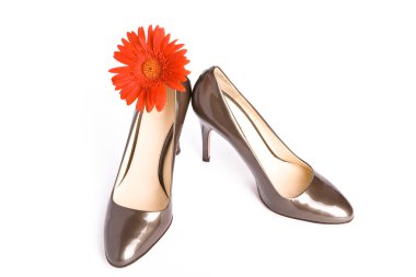 New elegant shoes on high heel clipart