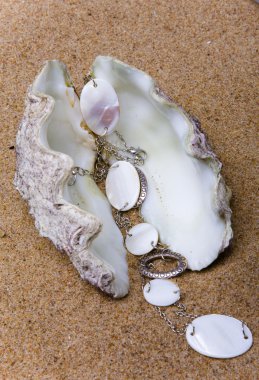 The exotic sea shell with a pearl beads clipart