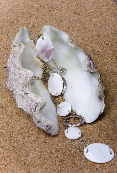 Inci boncuk ile egzotik deniz kabuğu — Stok fotoğraf