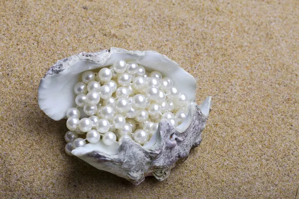 Exotic sea shell with a pearl beads lies — Stock Photo, Image