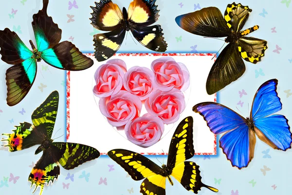バレンタイン カード蝶と薔薇 — ストック写真