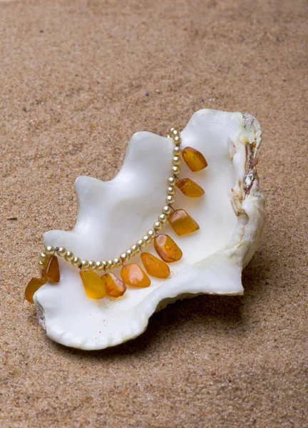 The exotic sea shell with a beads lies — Stock Photo, Image
